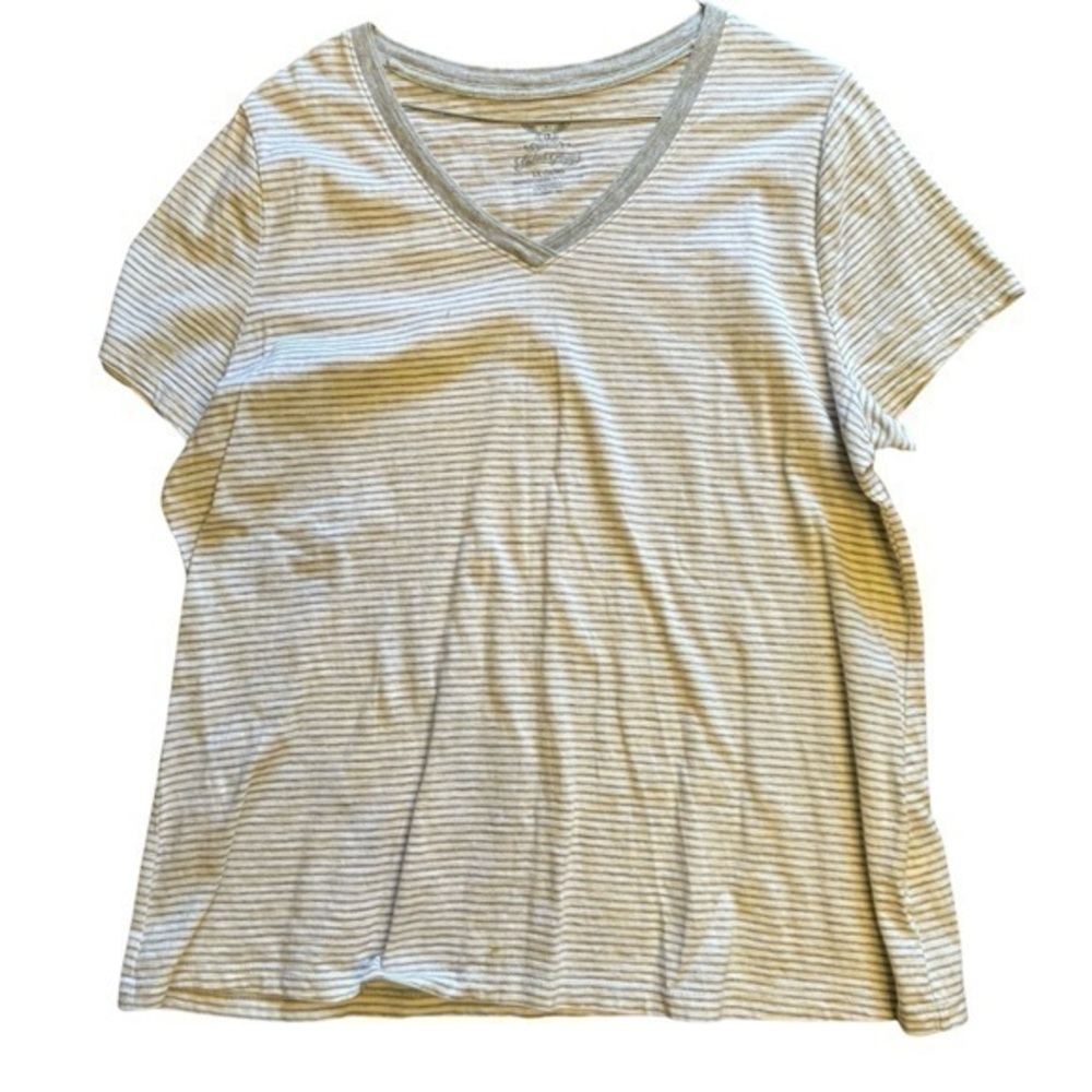 Faded glory women’s V-neck tee